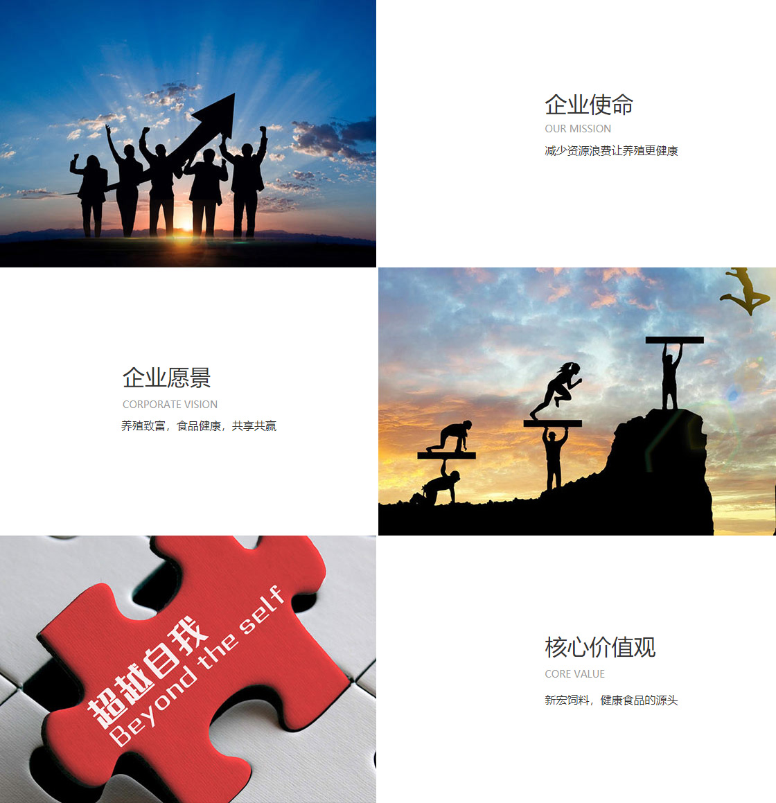 OD网页版(图1)